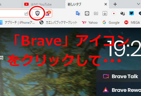 20221208-brave-001