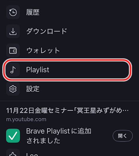 20241123-brave-002