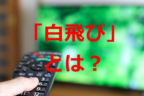 20230928-sirotobi-000