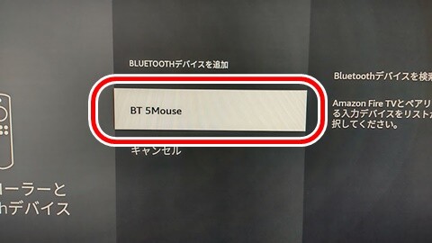 20230209-mouse-006