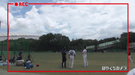 GIF1