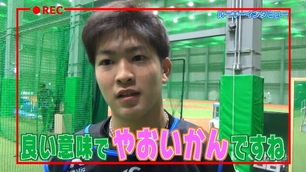 4962dedd-s