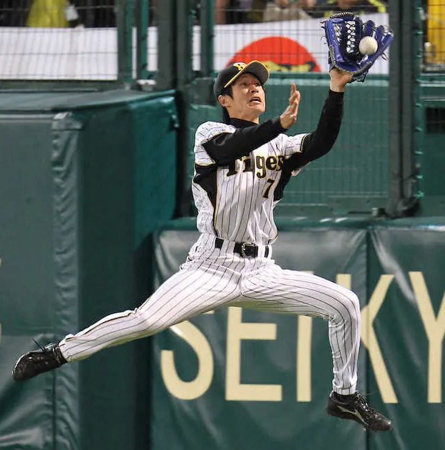 野球 阪神タイガース藤川俊介実使用硬式木製バットNPBプロ野球サイン入り