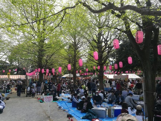 20180417193754-718x539