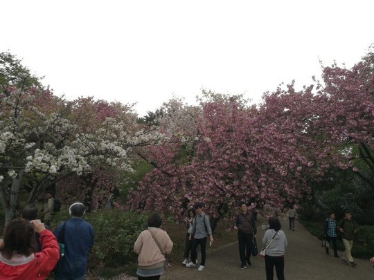 20180414180841-718x539