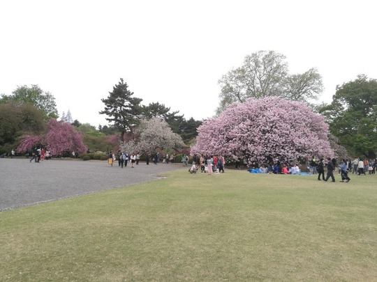 20180414181028-718x539