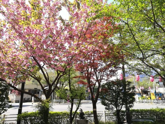 20180417193534-718x539