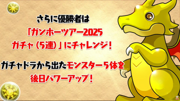 2025y08m16d_145634793