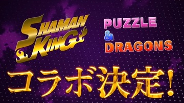 2019y02m20d_213126678