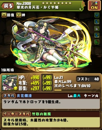 究極かぐや姫実装2
