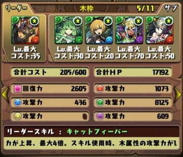 タケミカヅチ降臨挑戦パーティ11