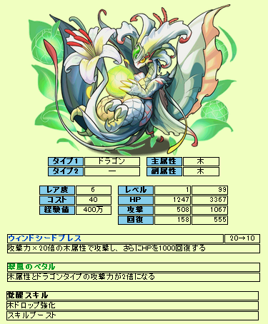 翠の華龍・カサブランカ