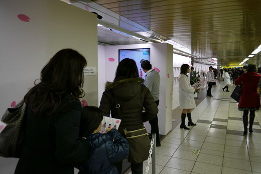 20110129125619.jpg 20110129125619.jpg