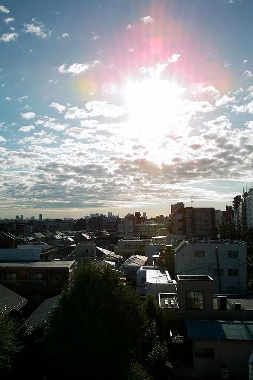 SDIM0021.jpg SDIM0021.jpg