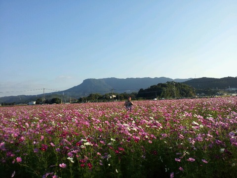 2011-10-19 16_24_51_resized