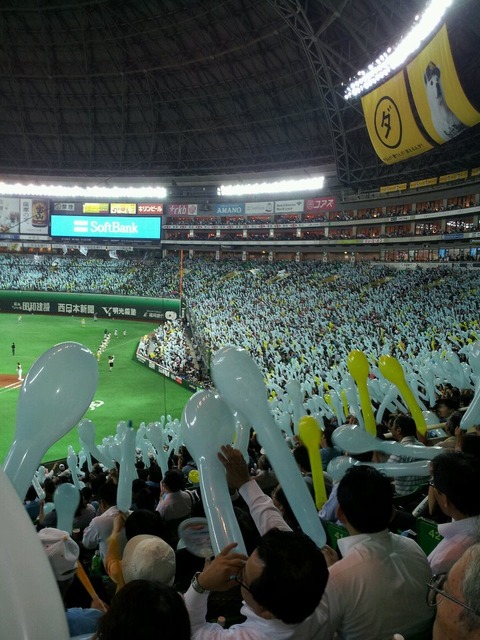 294000_199568106778431_100001757299372_488844_1035796269_n