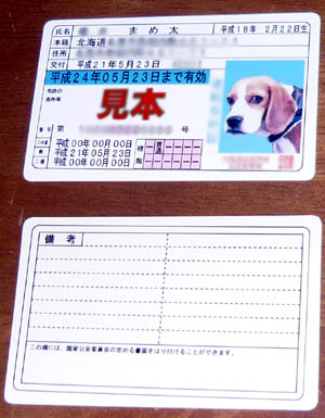 Idカード用紙 リサイクルパソコンビーグル 代表ブログ