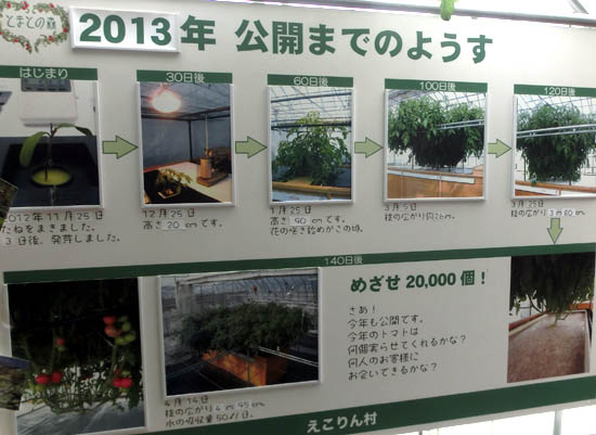 恵庭市 えこりん村 とまとの森 リサイクルパソコンビーグル 代表ブログ 恵庭市 えこりん村 とまとの森 リサイクルパソコンビーグル 代表ブログ