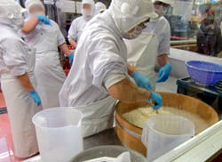 中札内村 北海道 十勝 花畑牧場 生キャラメル チーズ工房 リサイクルパソコンビーグル 代表ブログ