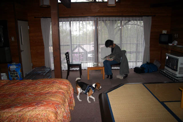 池田町 十勝まきばの家 コテージ リサイクルパソコンビーグル 代表ブログ