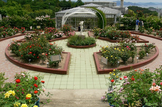 バラが咲いた In 広島市植物公園 ひろしま散歩