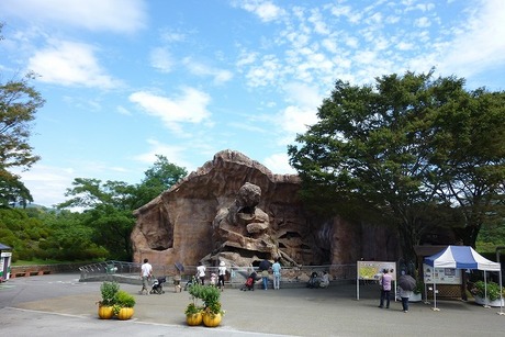 開園40周年記念「広島市安佐動物公園」 : ひろしま散歩。