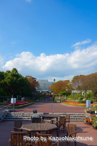 DSC01143a_s