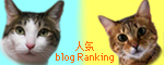 rabisarah_ranking_2008