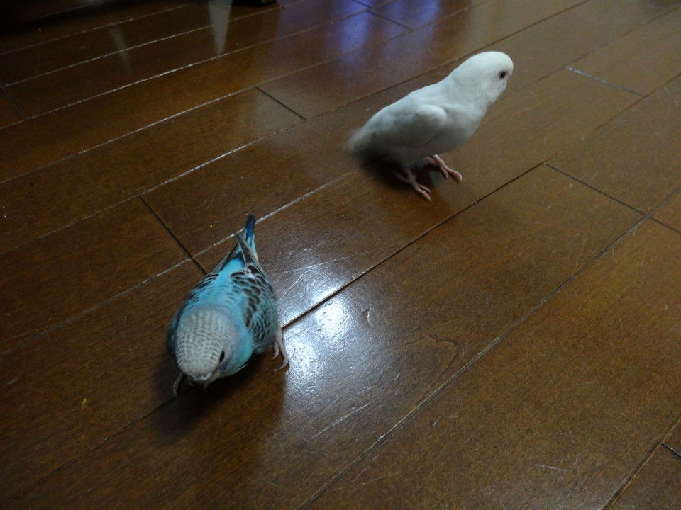 我が家に家族増える こだわり子連れ旅