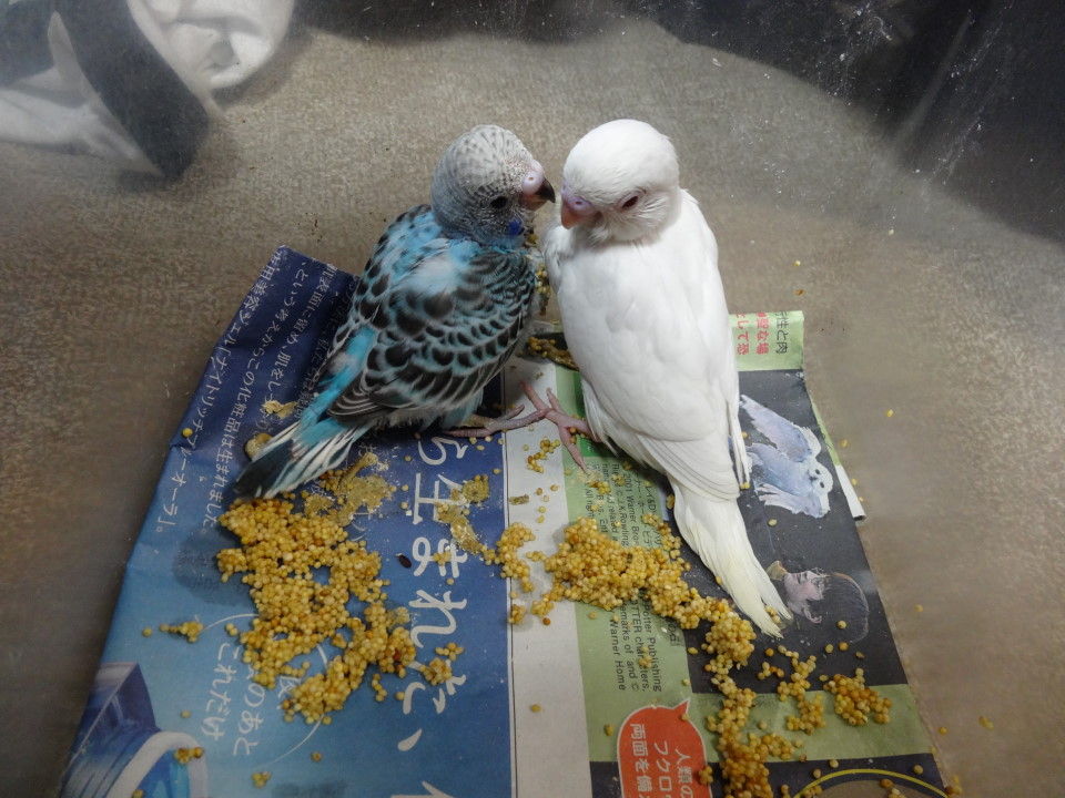 我が家に家族増える こだわり子連れ旅