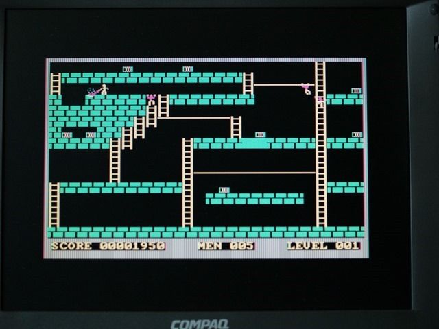 cat20190324094124 cat20190324094124