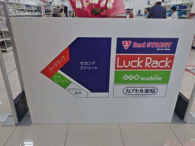 cat20260315123552