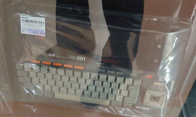 cat20250905173211[1]