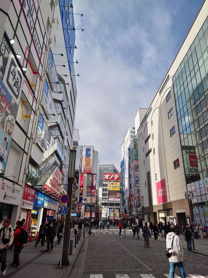 cat20241110104448 cat20241110104448