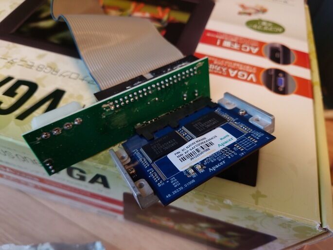 cat20251109093718 - コピー