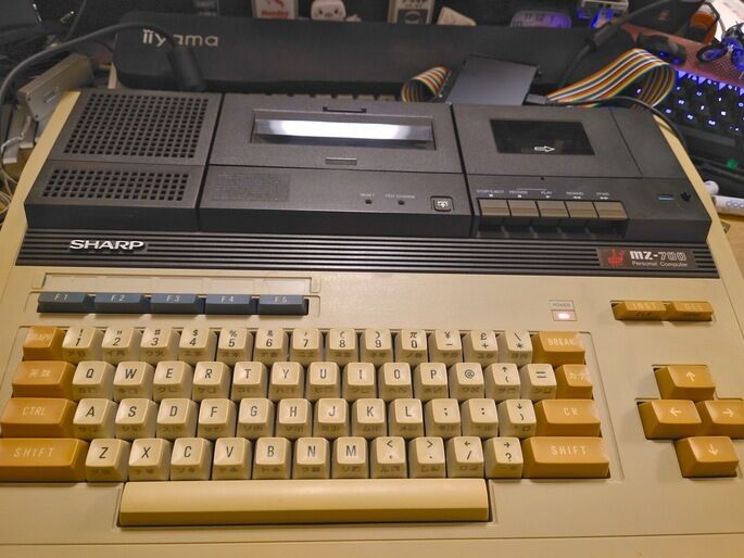 cat20250729220809 cat20250729220809