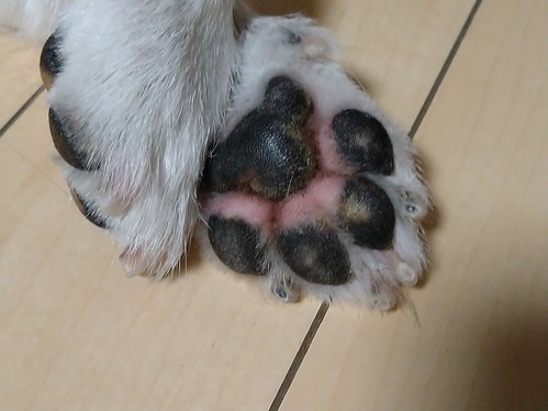 縮小DSC_2714
