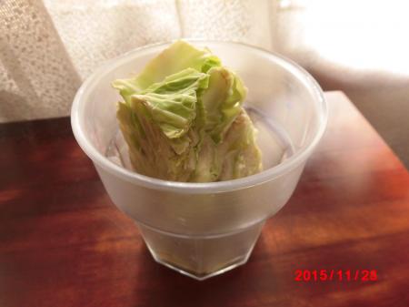 キャベツ(2)1128小