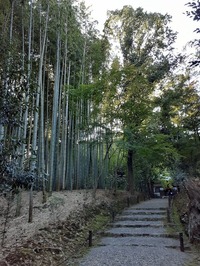 竹の寺地蔵院2022_10_31 (3)