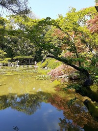 2022_06_12--平安神宮 (34)