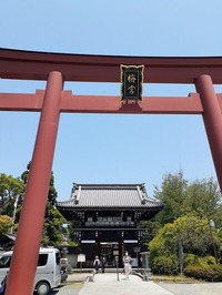 2022_05_29梅宮大社 (2)