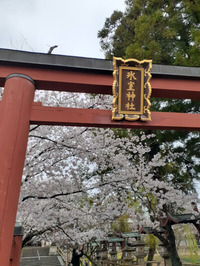 2022_氷室神社 (5)