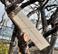 大阪城公園梅林-2