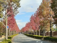 京都桂坂公園2