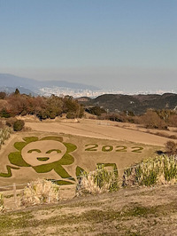 淡路島お花