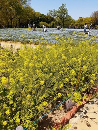長居植物園 (14)