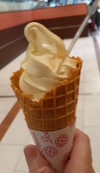 JR奈良駅葛ソフトクリーム