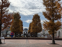 ���ͥե롼�ĥե��ѡ���2