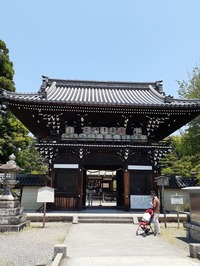 2022_05_29梅宮大社 (3)