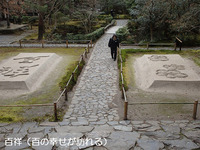 法然院-4